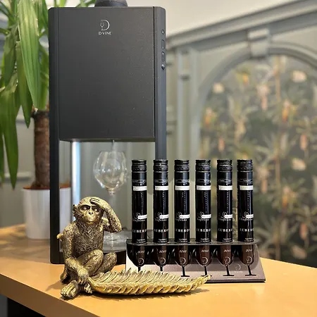 酒店 尚贝朗莫嘉娜酒店