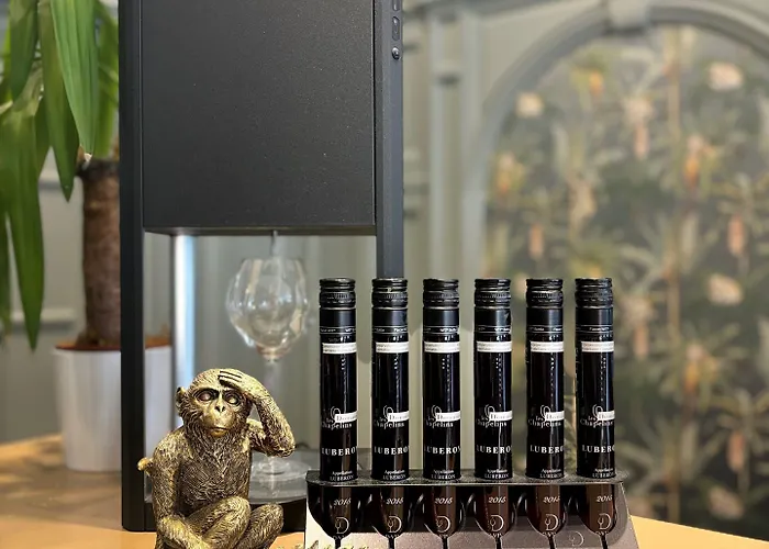 Hotel Chambellan Morgane